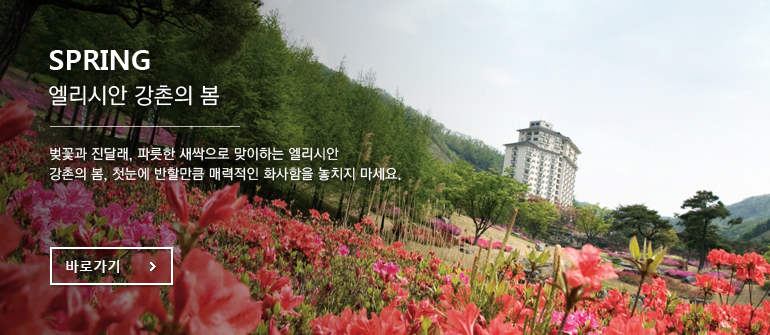 SPRING 엘리시안 강촌의 봄 - 벚꽃과 진달래, 파릇한 새싹으로 맞이하는 엘리시안 강촌의 봄, 첫눈에 반할만큼 매력적인 화사함을 놓치지 마세요.