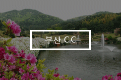 부산 C.C