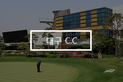 대구 C.C