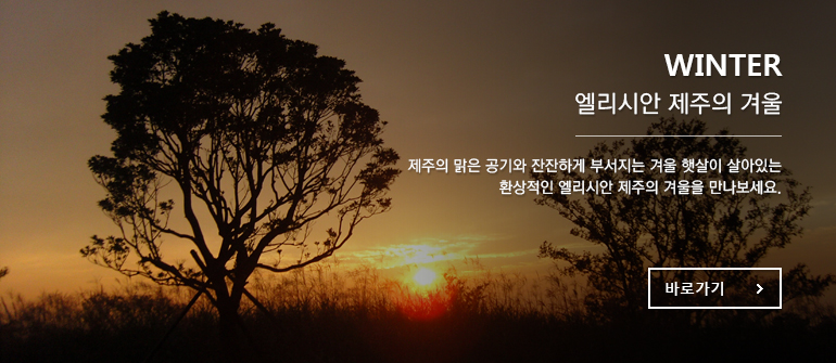 WINTER 엘리시안 제주의 겨울 - 제주의 맑은 공기와 잔잔하게 부서지는 겨울 햇살이 살아있는 환상적인 엘리시안 제주의 겨울을 만나보세요.