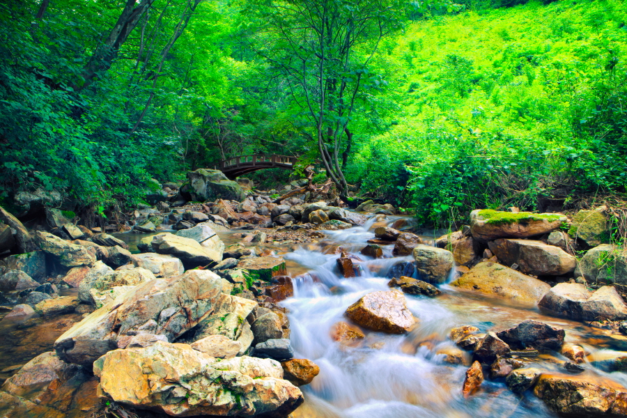 등산로 8