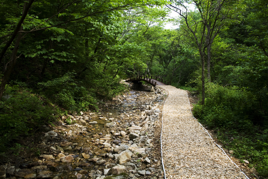 등산로 7