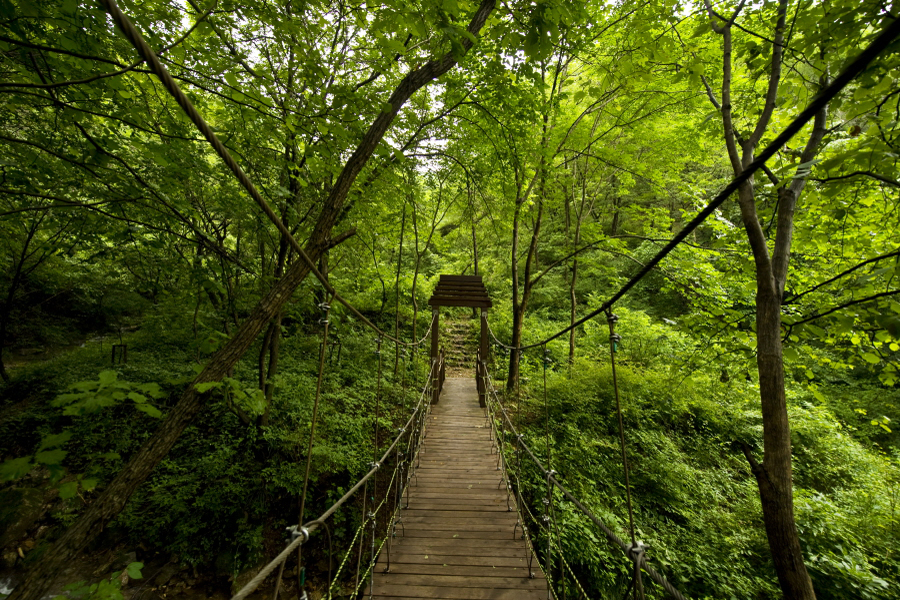 등산로 3