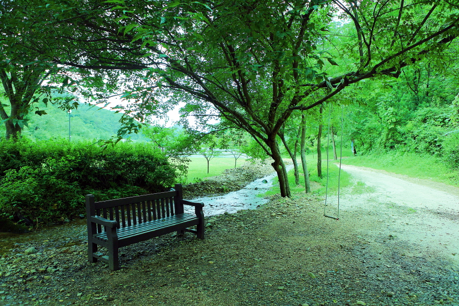 등산로 6