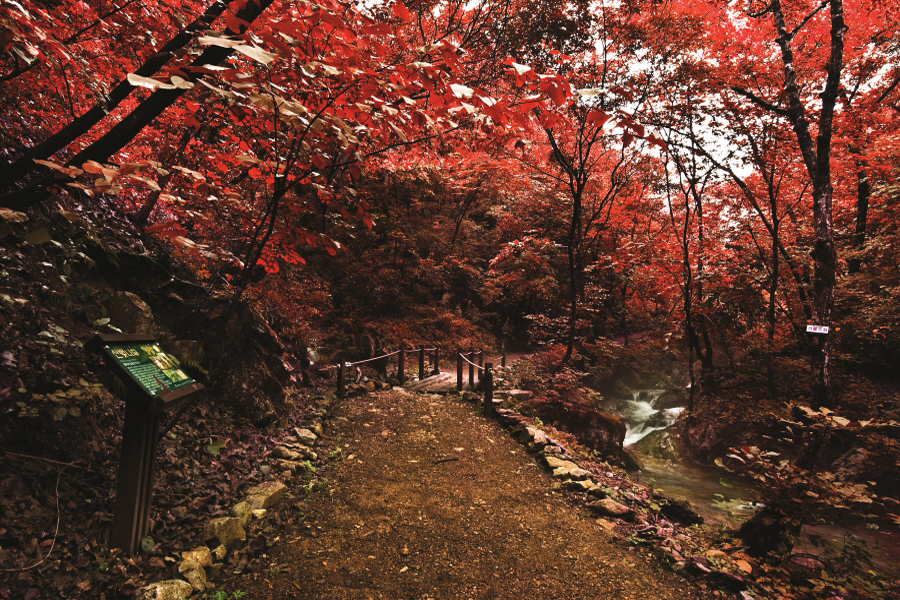 등산로 2
