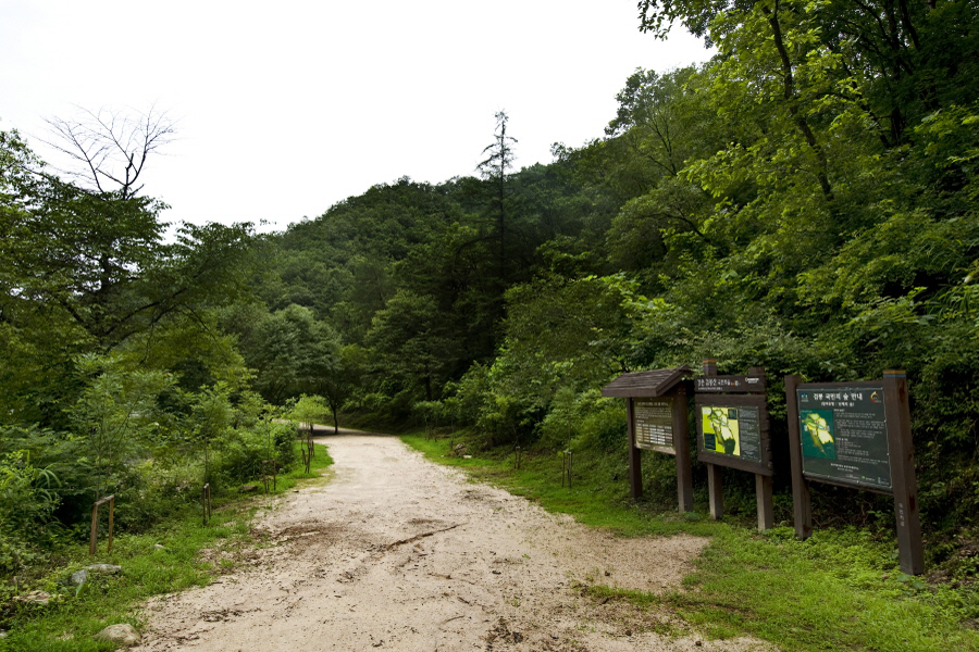 등산로 1
