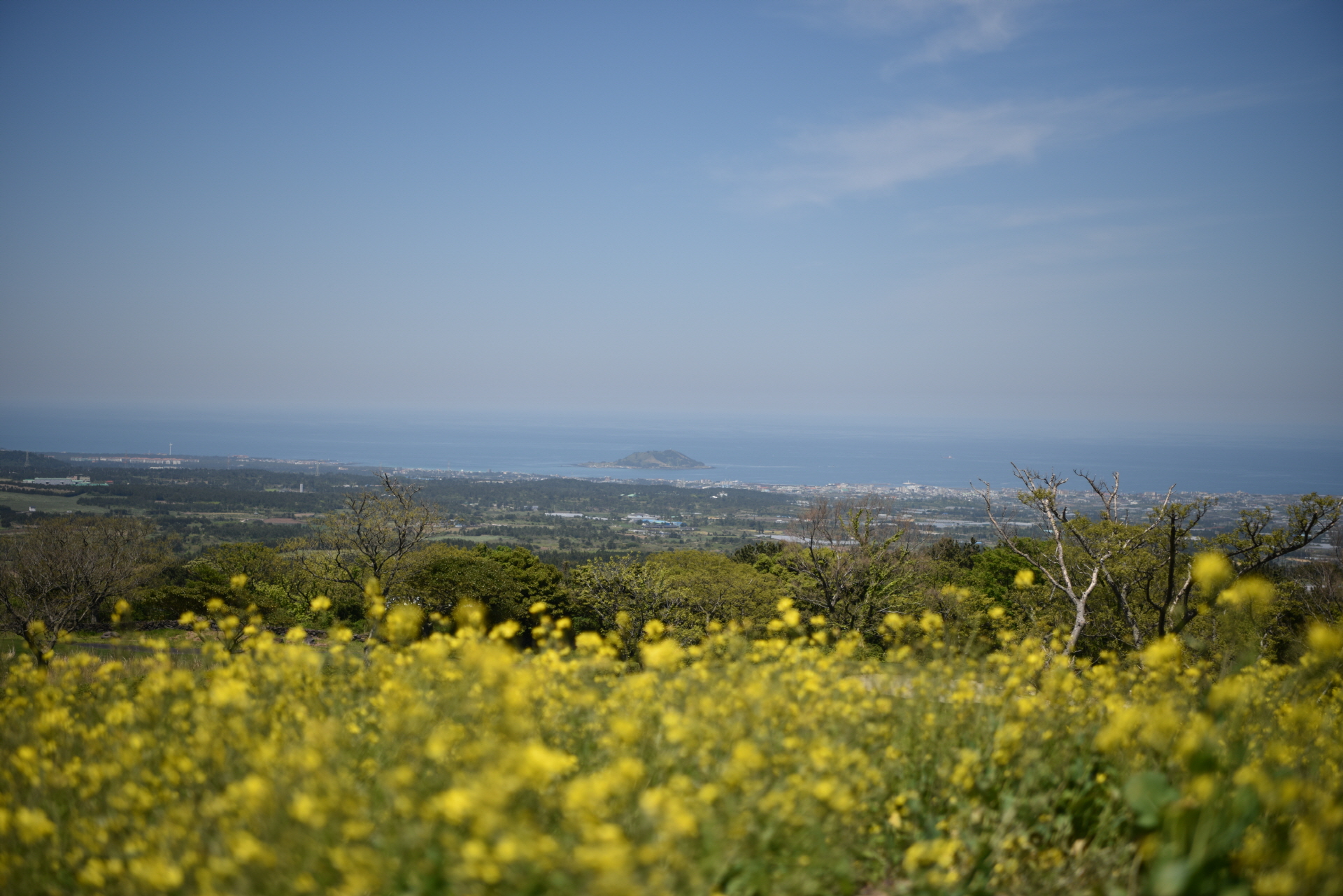 산책길 1