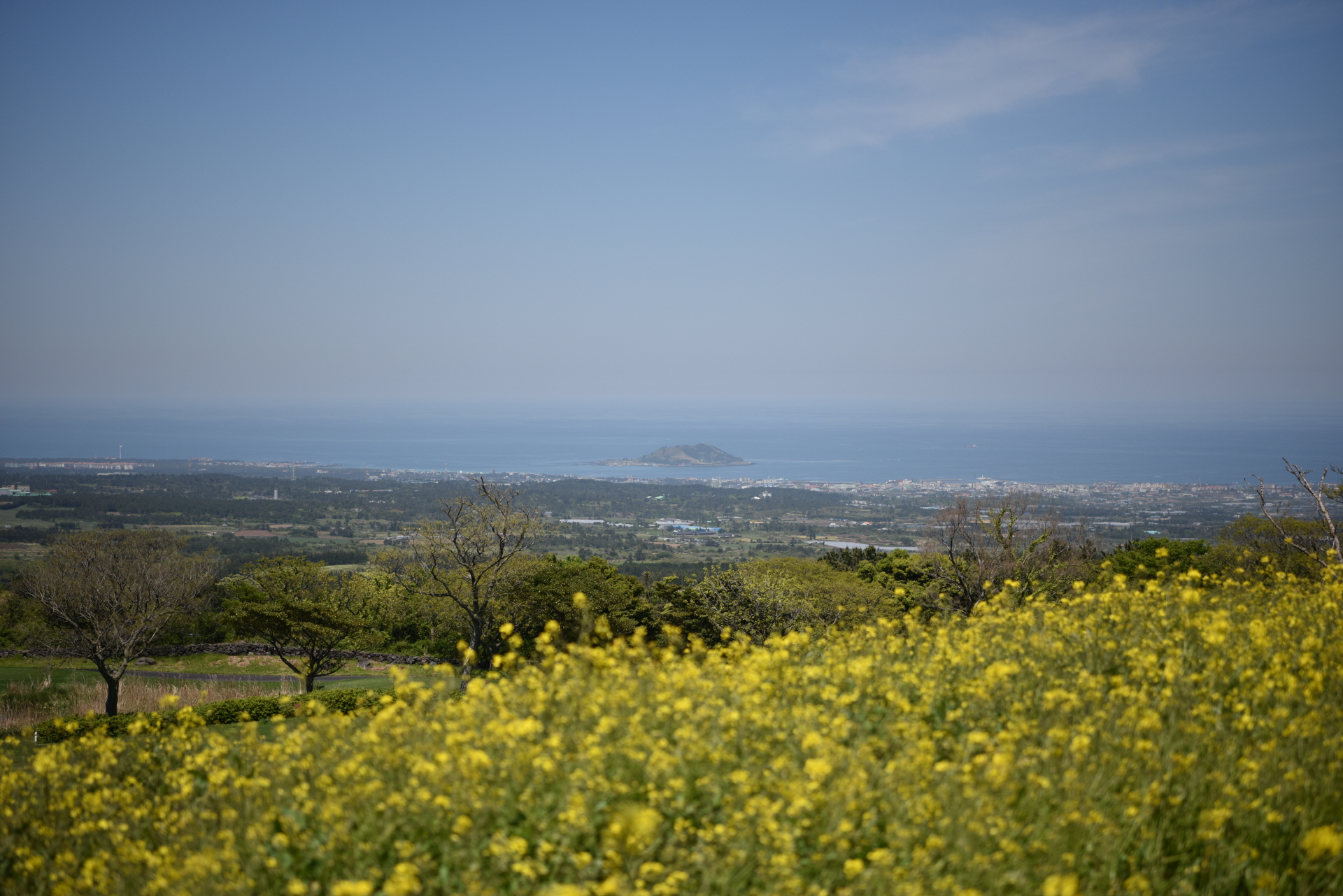 산책길 3