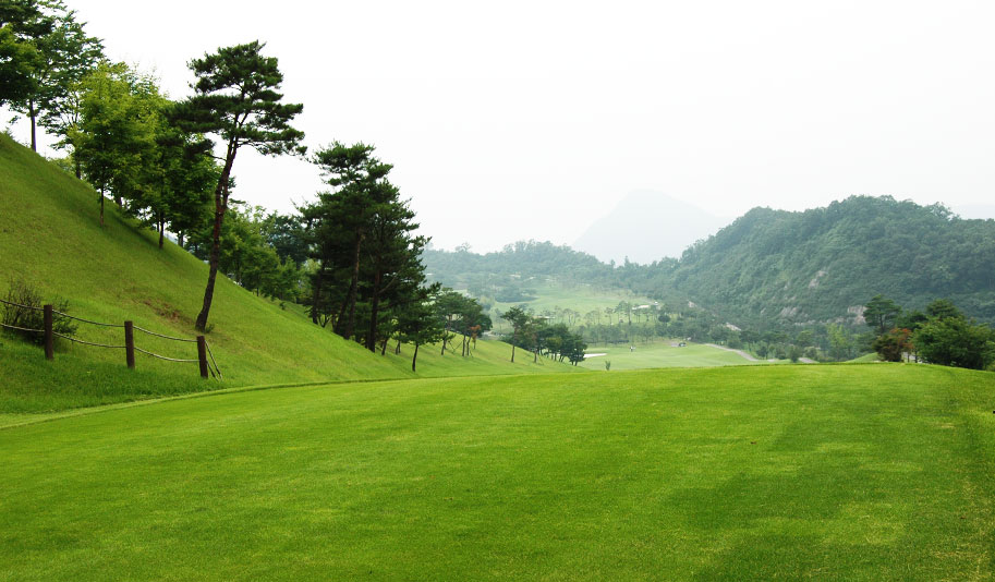 VALLEY 6HOLE 01