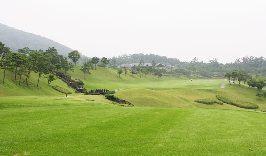 VALLEY 9HOLE 01