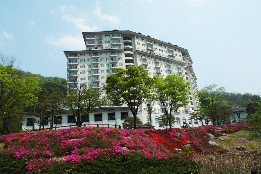 엘리시안 강촌 콘도