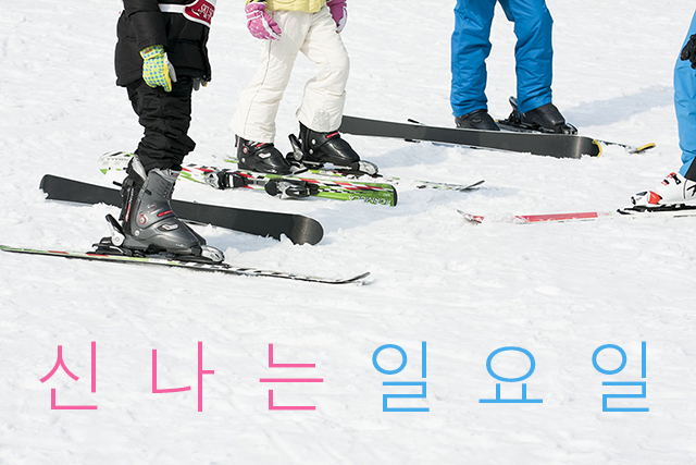 신나는 일요일의 현장스케치