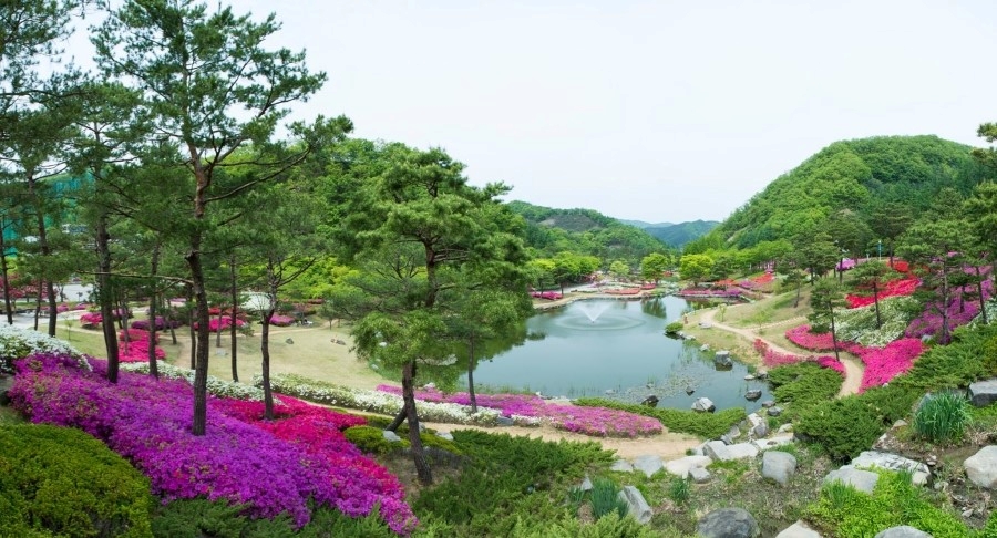 엘리시안강촌 테마공원