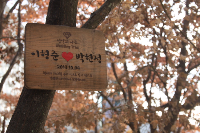 12월로 접어든 엘리시안!