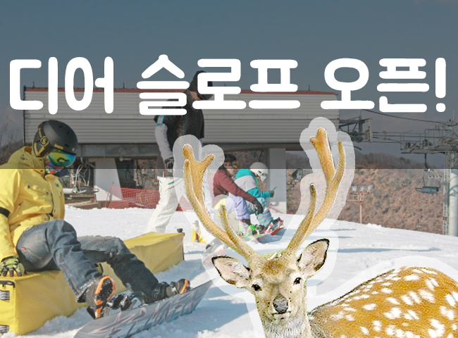 디어 슬로프 오픈현장!!