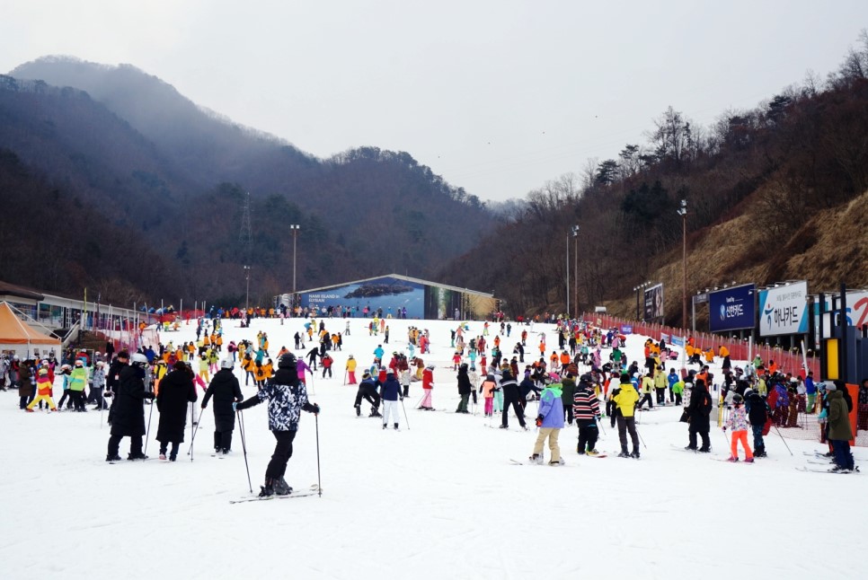 연휴의 시작! 기해년 설날 연휴도 역시 엘리시안!
