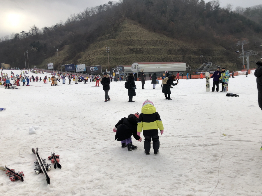 얼마 남지 않은 2019년은 엘리시안과 함께